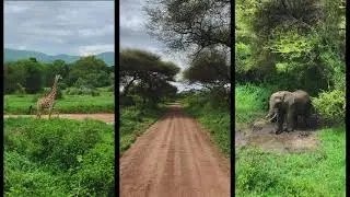 3-day Safari in Tanzania, Africa