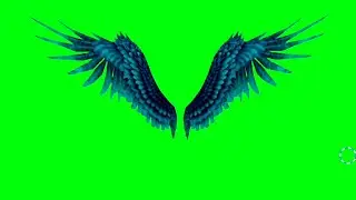 green screen anggel