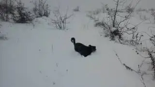 Зима