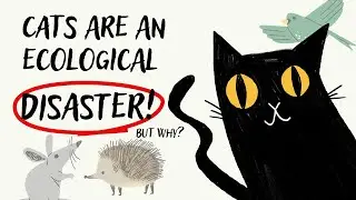 Cats are an ecological DISASTER!