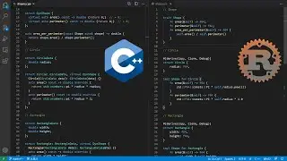 C++20 & Rust on Static vs Dynamic Generics