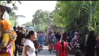 Mayored terantik