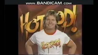 Rowdy Roddy Piper : absolutely no words