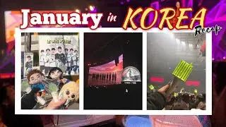 January in Korea Recap