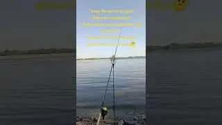 9 сентября 2024 г.