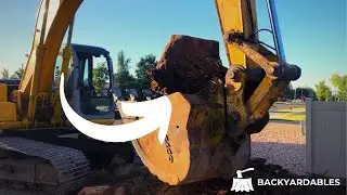 Don’t make this mistake when removing a tree stump