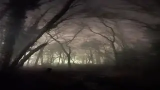 Ended in Some Random Person's Backyard - Diphenhydramine (700mg+) Trip Report