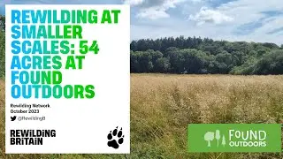 Rewilding on a Smaller Scale: 54 Acres at Found Outdoors