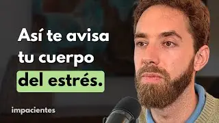 Experto Anti-Estrés: 5 Claves para Ser Productivo y Feliz con tu Trabajo