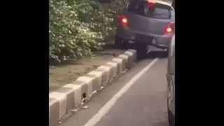 What a Stvpid Driver!