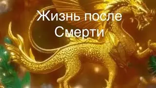 10 февраля 2024 г.