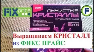 Выращиваем КРИСТАЛЛ из ФИКС ПРАЙС