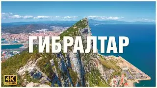 All about the amazing state of Gibraltar 🐒🐒🐒