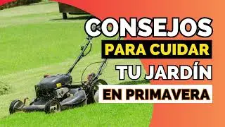 Consejos para cuidar tu jardín en primavera 🌸🌺🌷💐🍀🌳