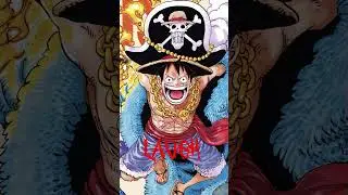 One piece Laugh !!!