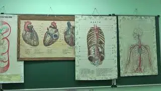 Лекция 