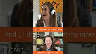 Anne Curzan briefly gives in to her inner grammando