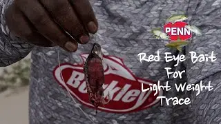 Red eye bait for light weight trace