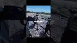 enfrentamiento.🇲🇽🔥#viral #viralvideo #shortvideo #shortsvideo #shortfeed #shorts #shortsfeed #mexico