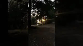Поэтично?