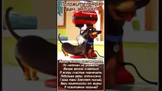 ПОЛОЖИТЕЛЬНЫХ ВАМ ЭМОЦИЙ!