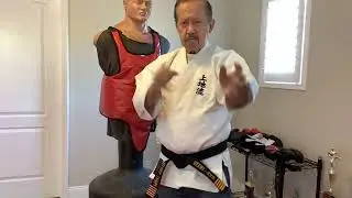 Uechi Ryu- Block and Face Rip, an alternative @Henry Thom