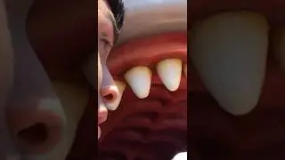 This Whale Is Super Realistic😳