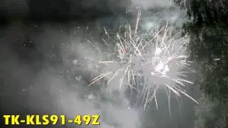 TK KLS91 49Z