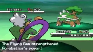 Pokemon White Friend Battle #8: PokeWhiteFan1201