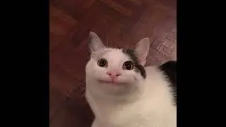 до 1 декабря