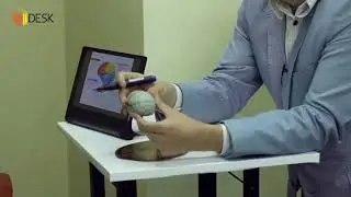 Андрій Чернінський   Головний мозок людини  DESK