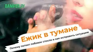 Почему запотевают стекла в машине. Ваши действия.