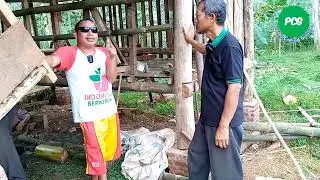 CARA MENDESAIN KANDANG KAMBING AGAR URINE BISA DITAMPUNG