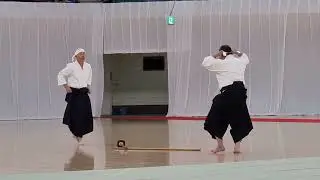 МУХИ МУТЕКИ РЮ ДЗЁДЗЮЦУ