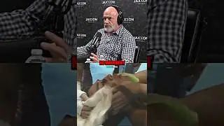 ⚔️Bas Rutten's Most Scary Knockout💀