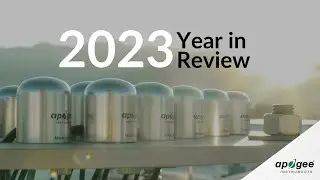 Apogee - Year in Review