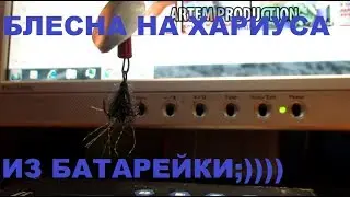 БЛЕСНА НА ХАРИУСА ИЗ ПАЛЬЧИКОВОЙ БАТАРЕЙКИ