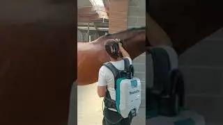 AFFIANCAMENTO TECNICO: Strigliatura del cavallo con Makita