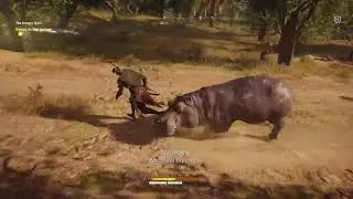 Game 14 played Assassin's Creed origins, Animal war!
