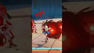 What the bug?
