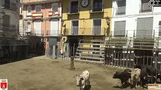 2023  14  ENTRADA JUEVES 24 08 2023