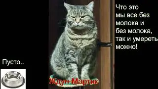 Ждун еды