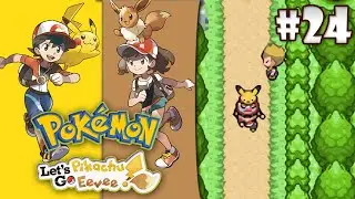 Pokémon Let's GO Pikachu & Eevee 8.0 (GBA) | #24 NUEVAS RUTAS LLENAS DE COMBATES PARA SUBIR DE NIVEL
