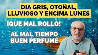 DIA GRIS, 🍂OTOÑAL LLUVIOSO🌧️Y LUNES ¡QUE MAL ROLLO! 5 PERFUMES AL MAL TIEMPO BUEN PERFUME #perfume