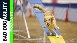 250: Is Your Dog Agility 