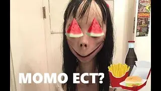 КОРМЛЮ МОМО!!! ЧТО ЕСТ МОМО?