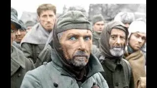 Доля німецьких полонених в СРСР @otaman2014