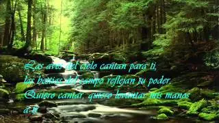 Quiero alabarte