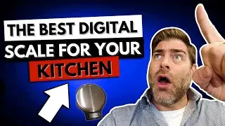 Product Review Amazon Basics Stainless Steel Digital Kitchen Scale