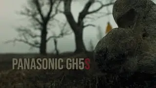 Hung up (Panasonic GH5s)